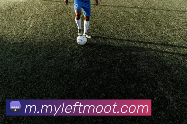 江南app体育在线登录入口全站App